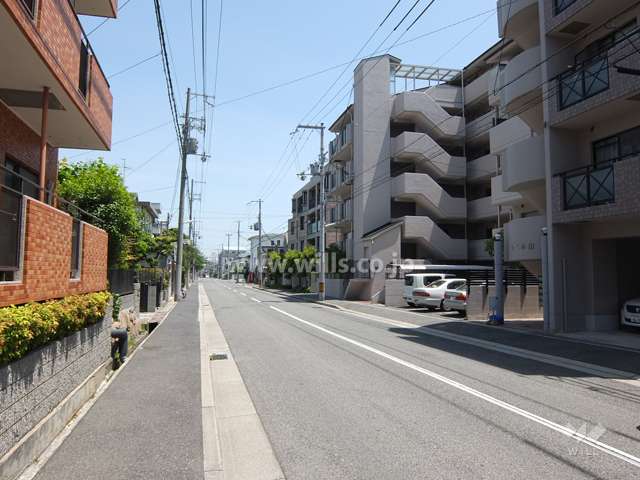 敷地北側の前面道路