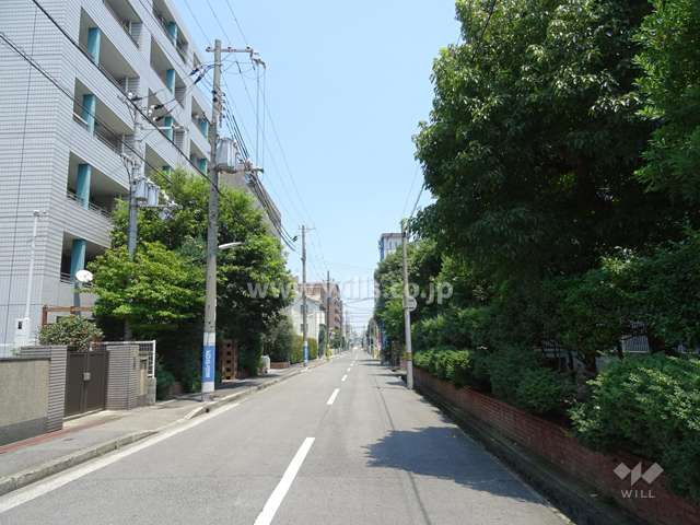 敷地南側の前面道路