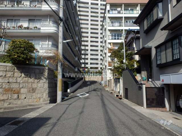 敷地東側の前面道路