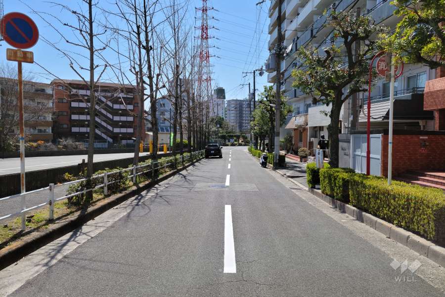 敷地東側の前面道路