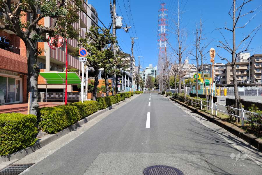 敷地東側の前面道路