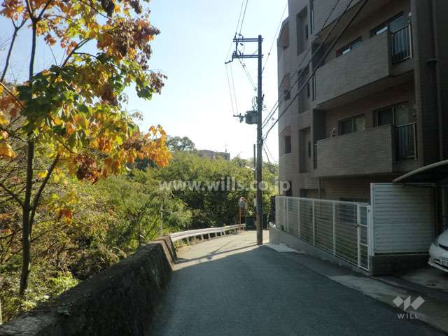 敷地東側の前面道路
