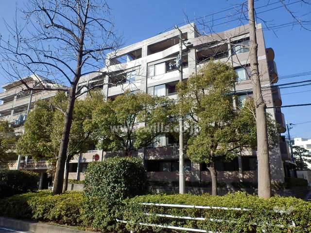 住吉本町ロジュマンの外観（南東側から）