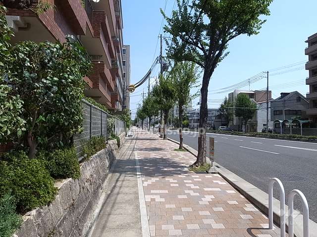 敷地南側の前面道路
