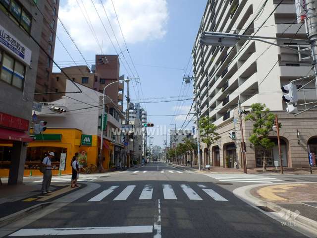 敷地南側の前面道路
