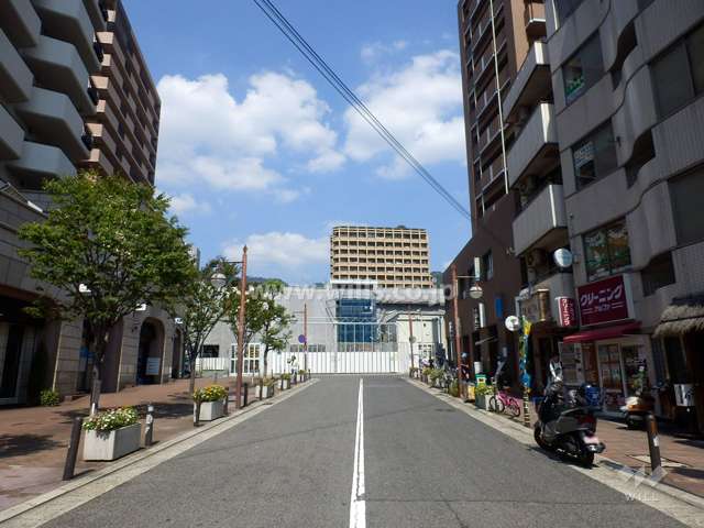 敷地西側の前面道路