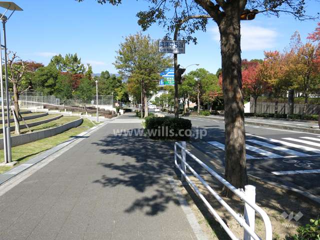 敷地東側の前面道路。道を挟んで「六甲アイランド公園」が広がっています。