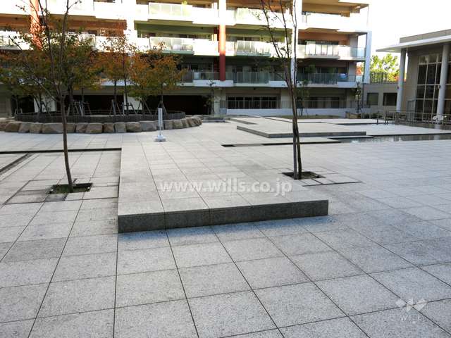 敷地中央にある広場