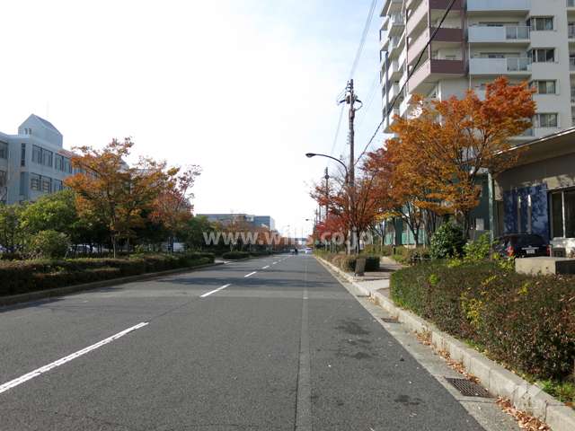 敷地南側の前面道路