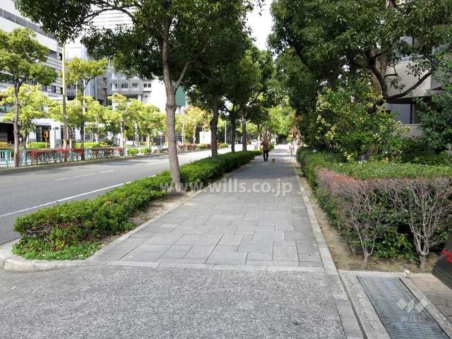 敷地西側の前面道路