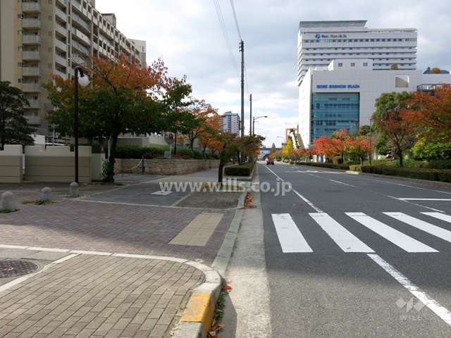 敷地北側の前面道路