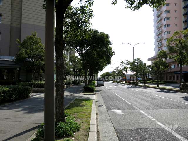 敷地西側の前面道路