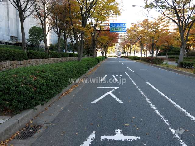 敷地西側の前面道路