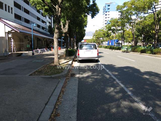 敷地東側の前面道路