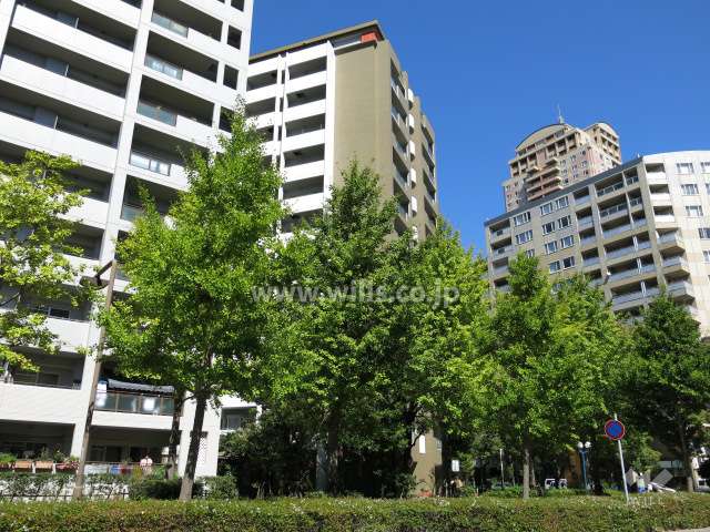 RICウエストコート4番街南棟1番館の外観（南西側から）