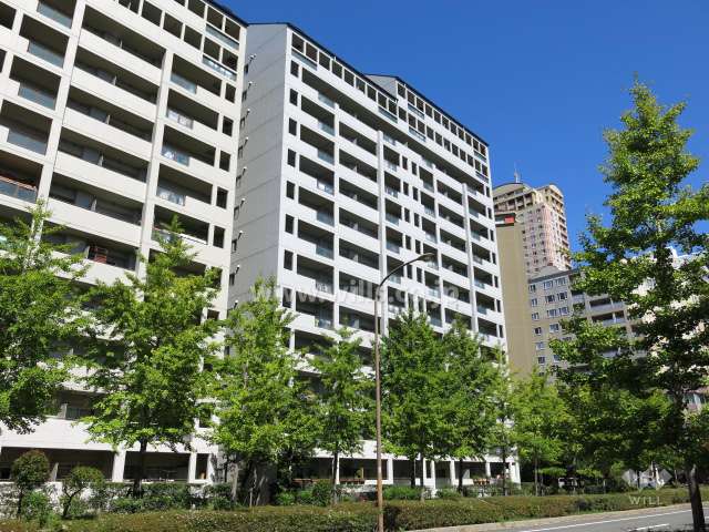 RICウエストコート4番街南棟2番館の外観（南西側から）