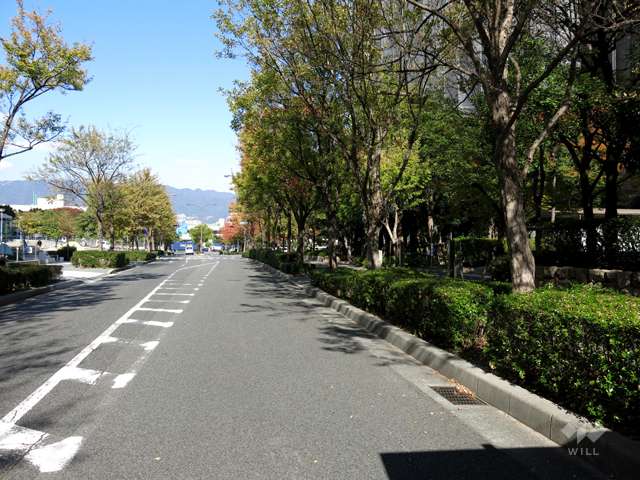 敷地西側の前面道路