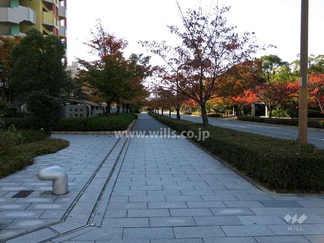 敷地北側の前面道路