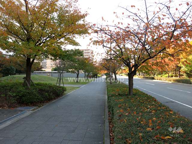 敷地北側の前面道路