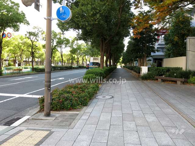 敷地東側の前面道路