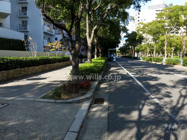 敷地東側の前面道路