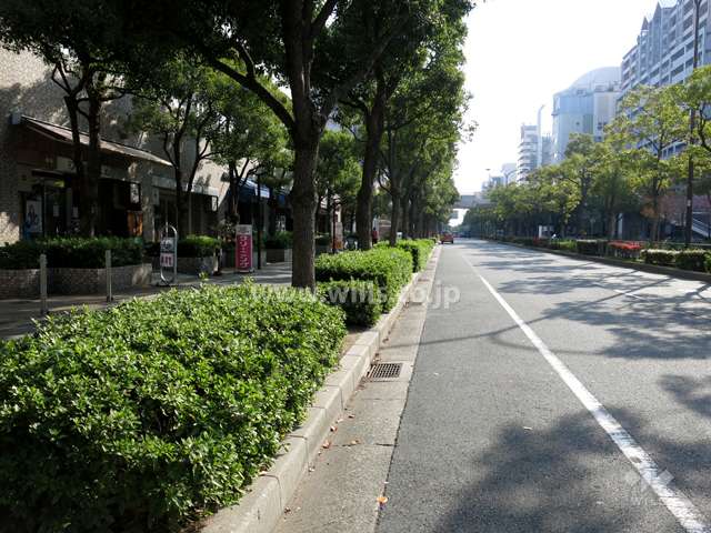 敷地西側の前面道路