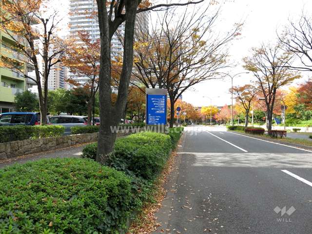 敷地北側の前面道路