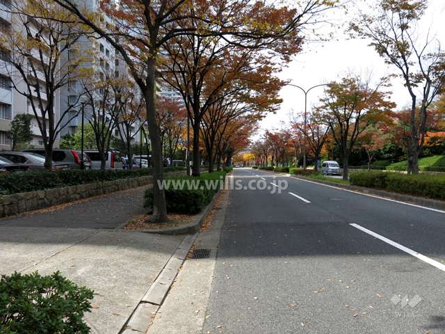 敷地北側の前面道路