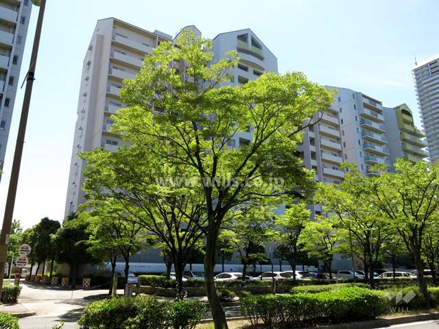 RICイーストコート4番街7番館の外観（北東側から）