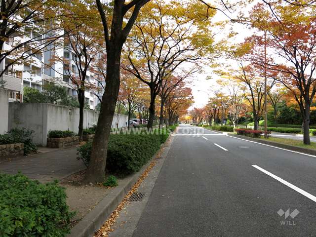 敷地北側の前面道路