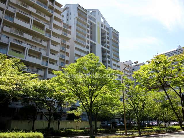 RICイーストコート4番街8番館の外観（北東側から）