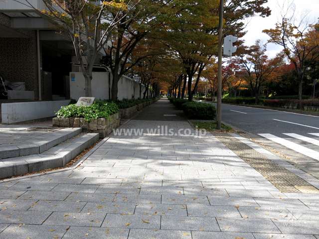 敷地北側の前面道路