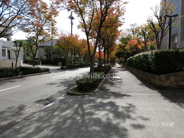 敷地東側の前面道路