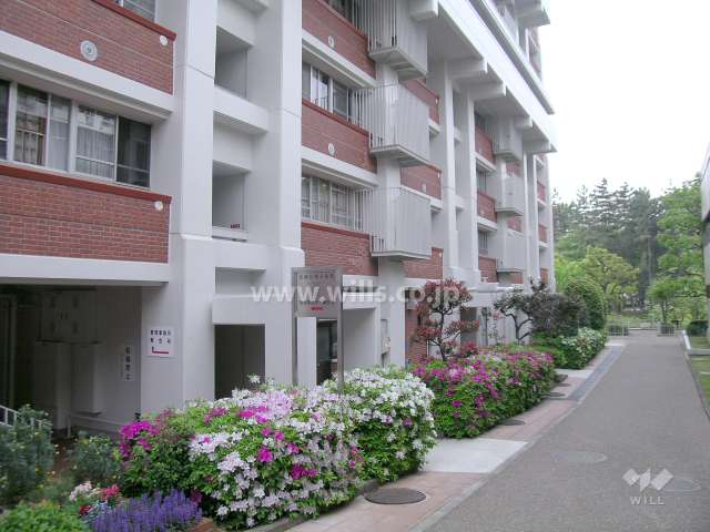 建物は一部タイル貼りで、スキップフロア構造