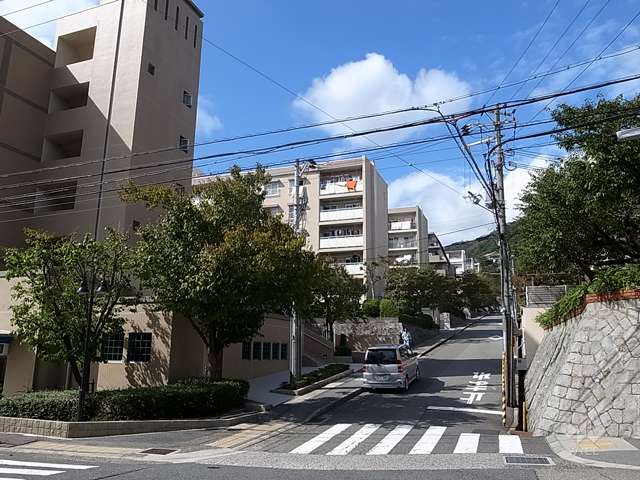 敷地東側の前面道路