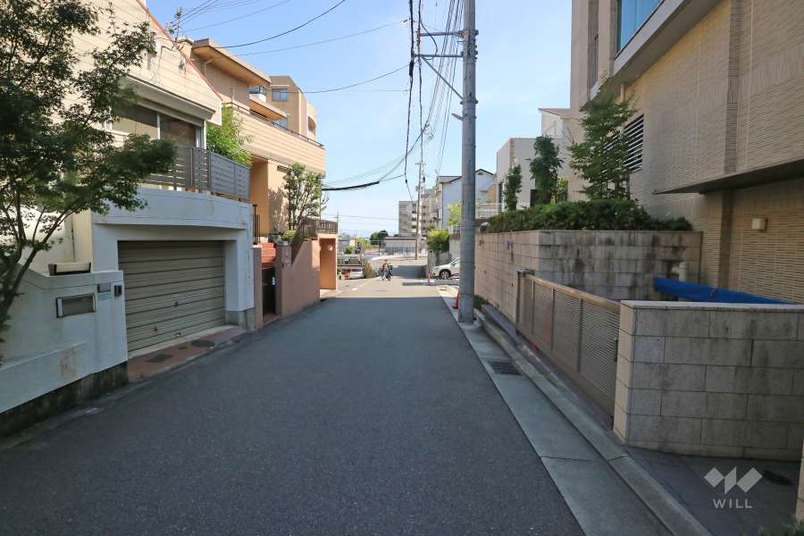 敷地東側の前面道路（北側から）