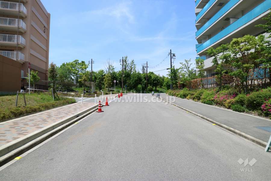 敷地南側前面道路(東側から)