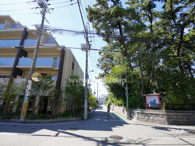 敷地北側の前面道路。道を挟んで熊野神社があります。