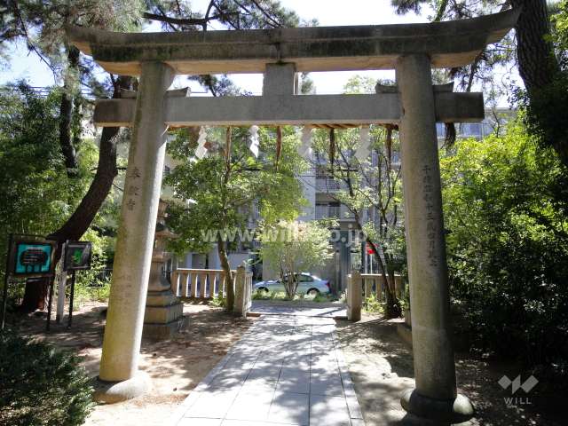 熊野神社から見たパークホームズ甲子園口