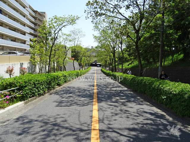 敷地東側の前面道路（北側から）
