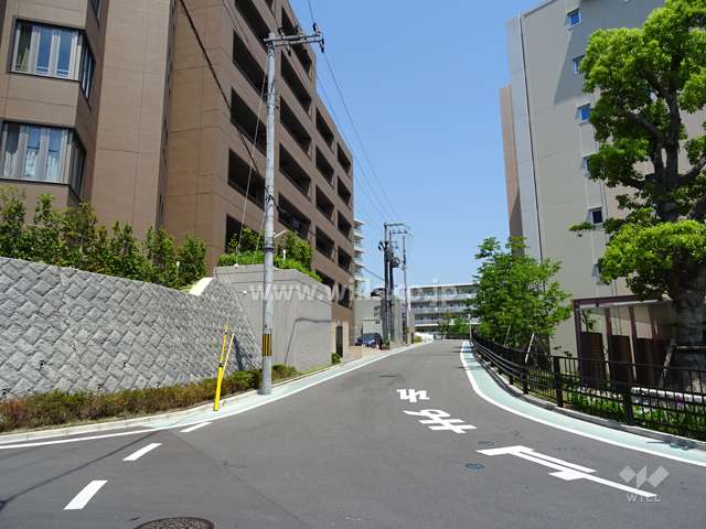 敷地東側の前面道路（南側から）