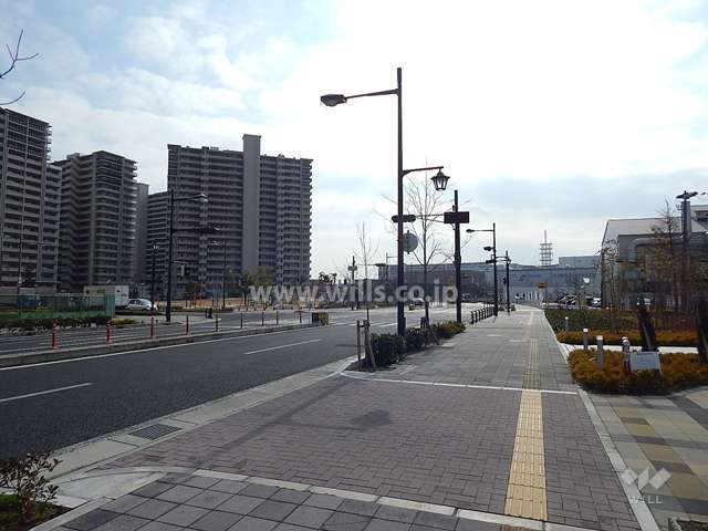 敷地東側の前面道路。道を挟んで、『潮江緑遊公園』があります。