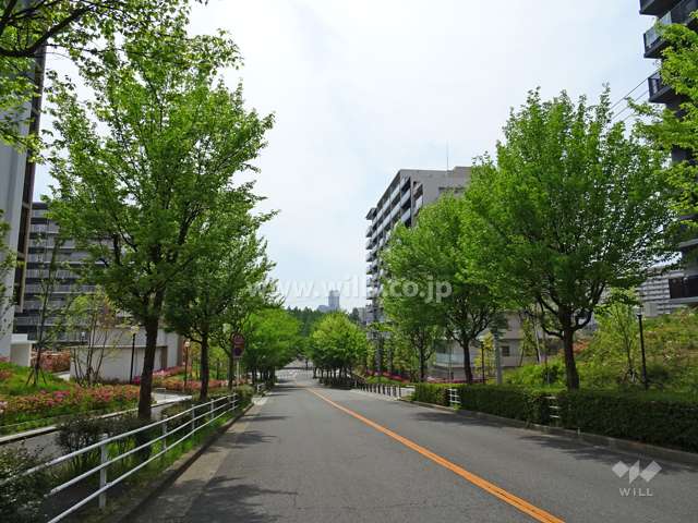 敷地南側の前面道路