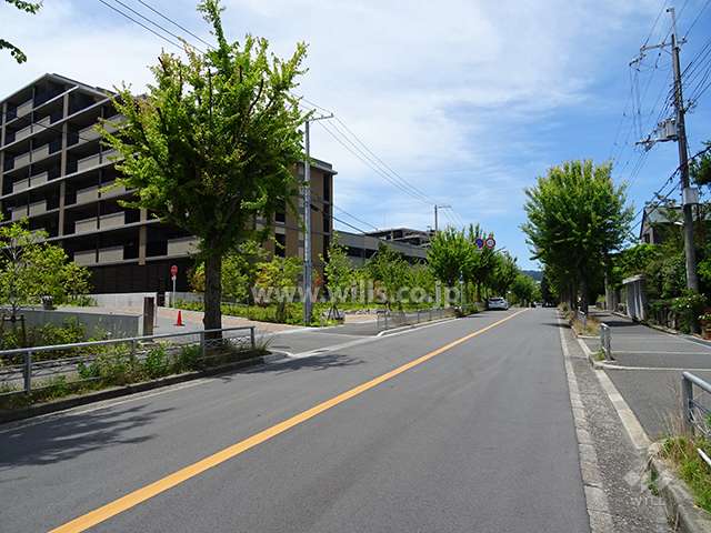 敷地東側の前面道路