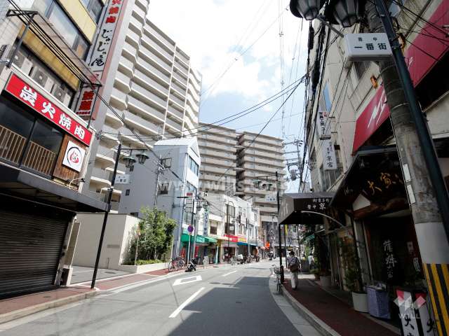 敷地西側の前面道路。車での出入り口はこちらにあります。