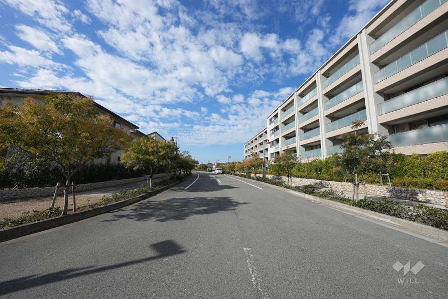 敷地南側の前面道路（南東側から）