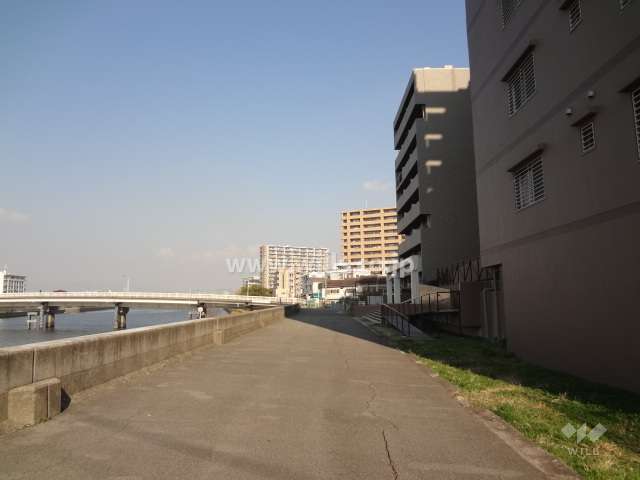 北側前面道路（西側から）