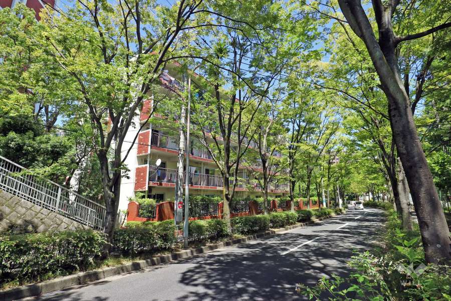 北緑丘第4住宅17号棟の外観（南側より）