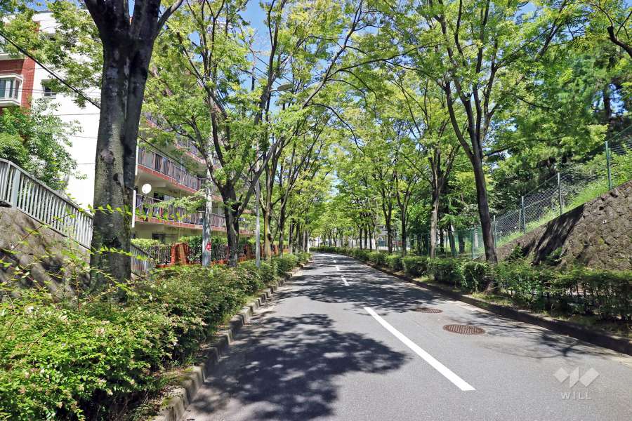 物件の南東側前面道路（南西側より）