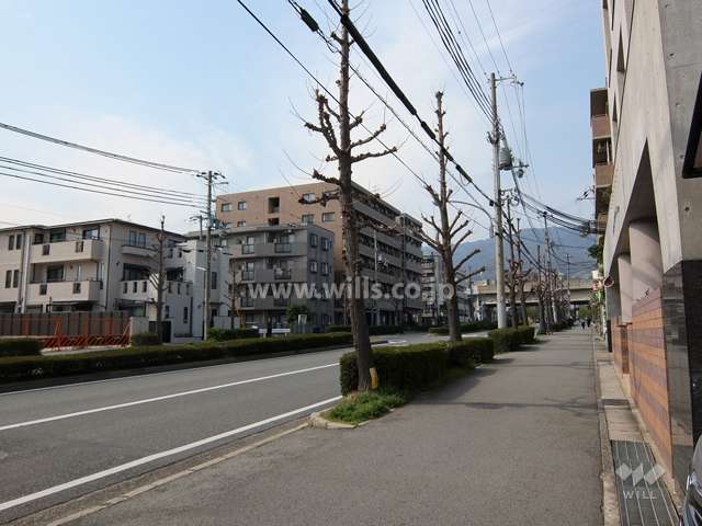 敷地西側の前面道路。街路樹、歩道のある4車線の通りです。